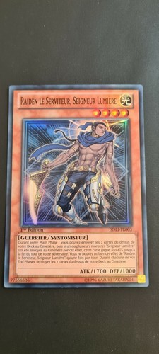 Raiden serviteur seigneur - raiden, le