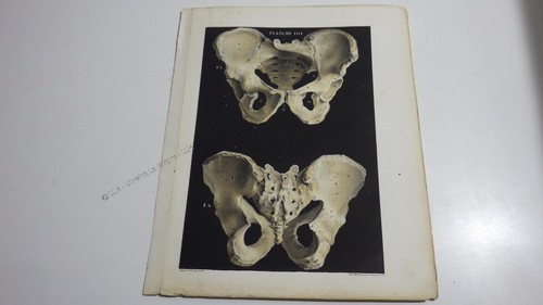 1850 lithographie couleur - 1850.lithographie,