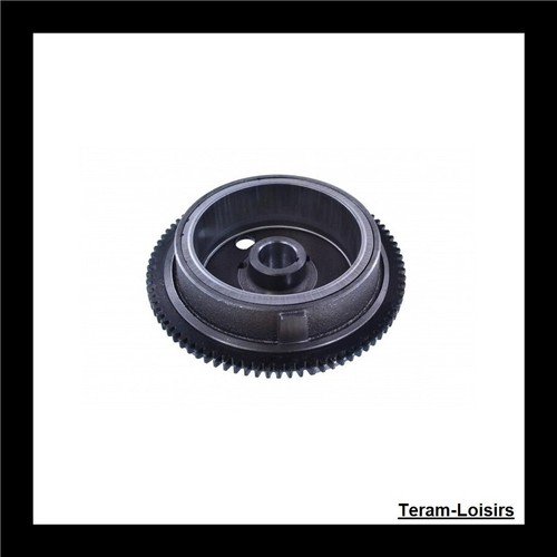 Rotor volant magnétique pour - rotor,