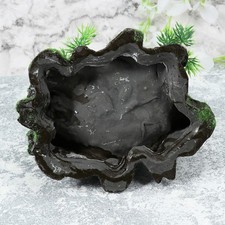  Gamelle Reptile Mangeoire