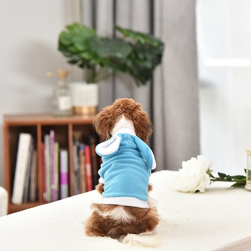 Manteau petit chien hiver - manteau,