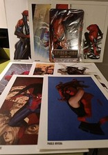 PORTFOLIO SPIDER-MAN OKAZ