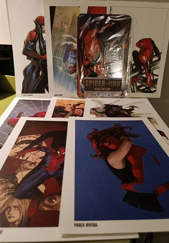 Portfolio spider man - portfolio, okaz