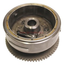 rotor (volant magnétique)