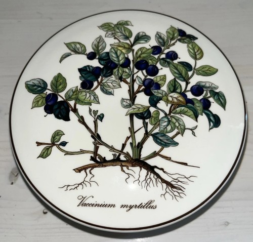 Villeroy boch botanica - villeroy,