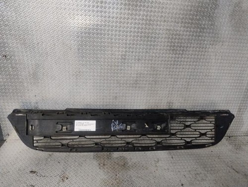 Grille pare choc - grille,