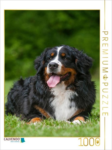 Calvendo puzzle ein motiv aus - motiv,
