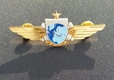 Insigne Brevet Pilote