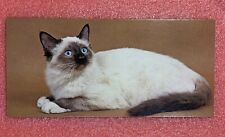 Carte MERVEILLES DU MONDE Nestlé n° 110 LE CHAT SACRE DE BIRMANIE Chocolat