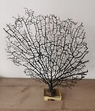 Belle Gorgone Sur Socle