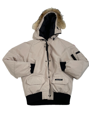 Canada goose white chilliwack - goose,