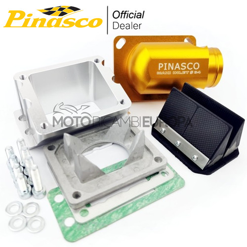 Pinasco pacco lamellaire - pinasco,