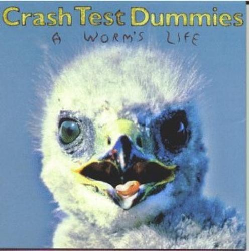 Crash test dummies worm s - test,