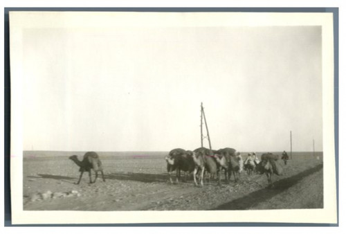 Maroc une caravane de - une,