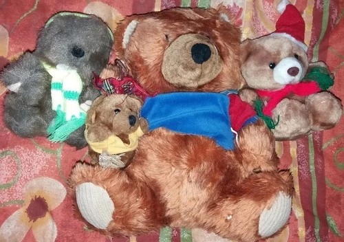 Peluches marmotte ours - 3,