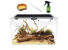 reptile terrarium