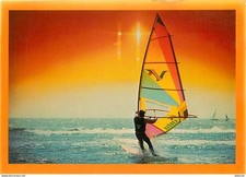 Sport - Planche à Voile - CPM