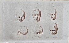 Gravure XIXe - PHRENOLOGIE -