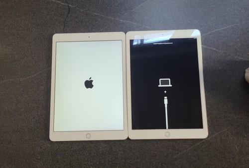 Lot ipad pour - de,
