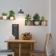 Stickers Muraux Salon TV Fond Autocollant Vert Plante Maison Salle de Bain D??co