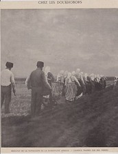 1902  --  GEORGIE  CHARRUE TRAINEE PAR DES FEMMES   3G545