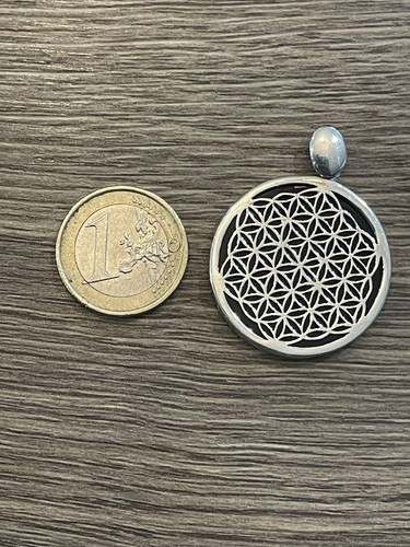 Pendentif argent massif et - en,