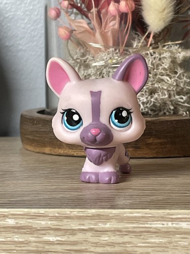 Petshop chien corgi - 💖🌺petshop,