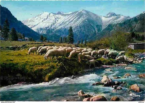 Carte postale alpes - postale,