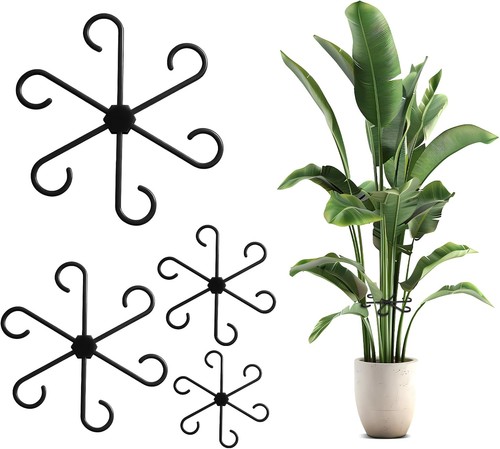 Roserrose supports plantes - supports,