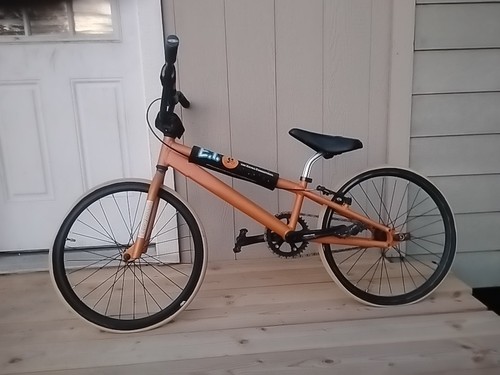 2019 kuwahara clotho expert - clotho,