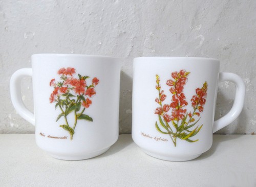 Mugs arcopal botanique - mugs,