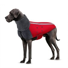 Manteau d'hiver de Chien
