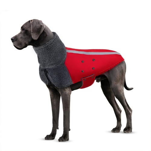 Manteau hiver chien - d'hiver, de