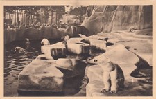 Carte postale ancienne PARIS