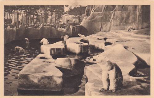 Carte postale ancienne paris - postale,