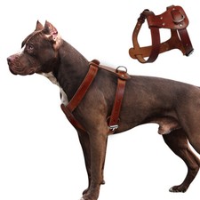Harnais en Cuir Anti Traction Marron pour Chien Réglable Promenade Staffy Neuf