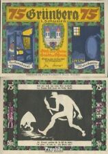 grünberg dans silésie