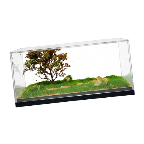Vitrine transparente pour