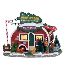 Arbres De Noël Frais De La