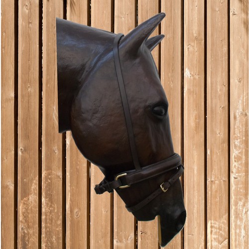 Euroriding swedish riding - euroriding,