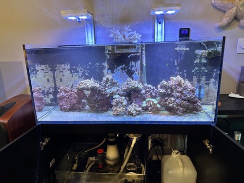 Red sea reefer 350 - reefer,