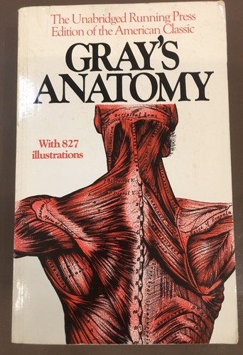 Gray anatomy the - gray’s,