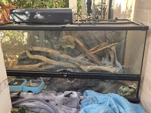 Exo terra enclosure - exo, reptile