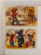 CIRQUE ELEPHANT SAVANT LANCER