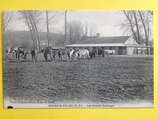 cpa FRANCE 95 - NESLES la VALLÉE Les GRANDS HERBAGES Chevaux Haras Ecurie