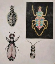 Beau Dessin De Projet De