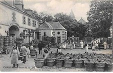 51 - MAREUIL SUR AY -SAN30665