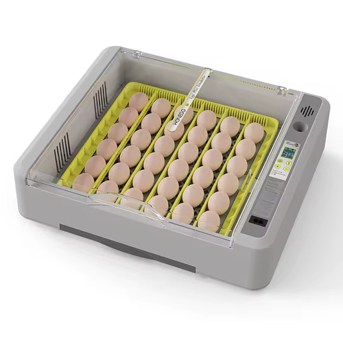 Automatic egg incubator 120 - incubator, 36-120