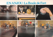 49-EN ANJOU LA BOULE DE