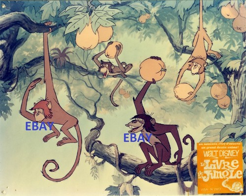 Mowgli livre la jungle - de,